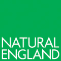 Research paper : Engaging children on the autistic spectrum with the natural environment