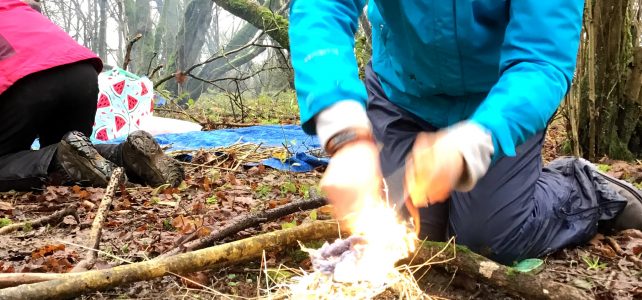 🌳 Venturing into Nature’s Classroom: Forest School Training for Youth Workers 🌱