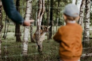 daiga-ellaby-kByCxWZ2mp8-unsplash-300x200 Immerse in Nature's Classroom: Unveil the Magic of the Forest School Learning Initiative 🌿🎓