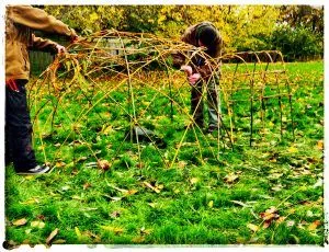 IMG_20231113_134209-01-300x230 Willow Dome In A Day - November 2026 or January 2027